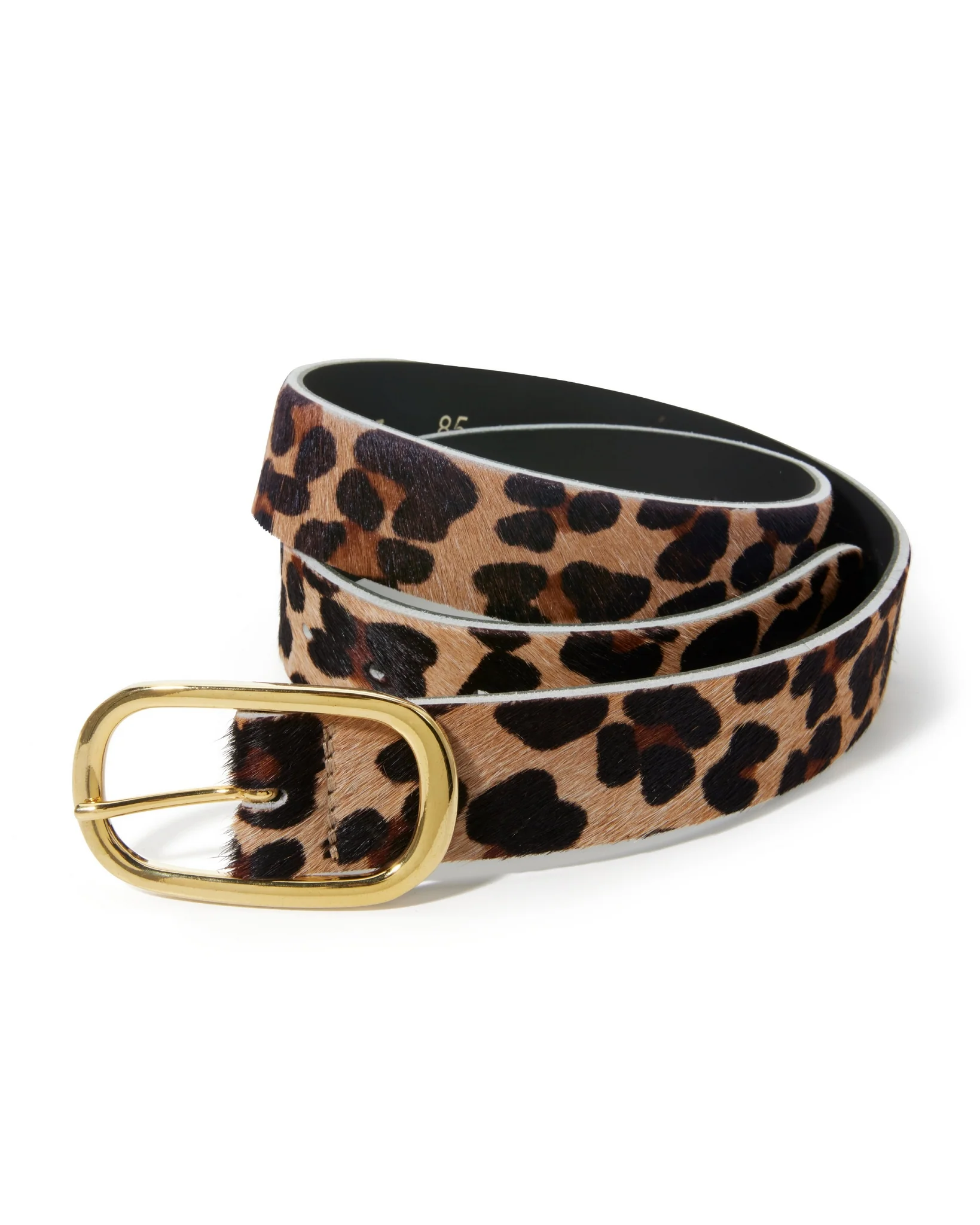Animal Modern Classic Belt Multi - Mycitystee