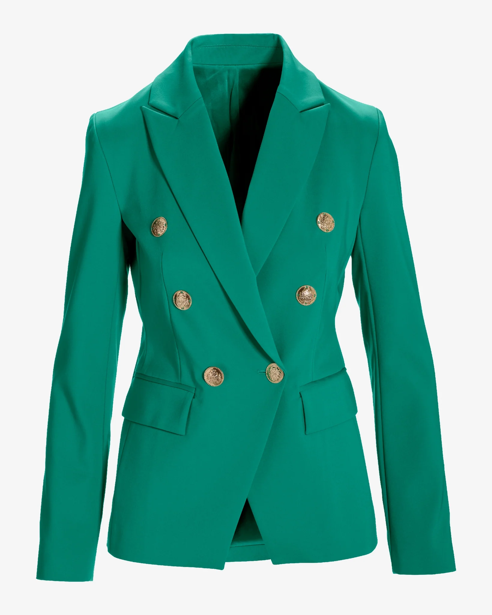 Modern Double-Breasted Blazer Parakeet - Mycitystee